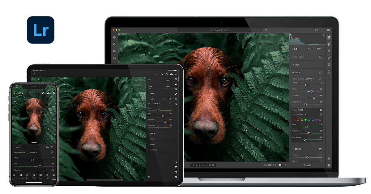 Übersicht zu Adobe Lightroom