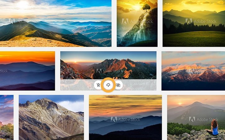 Benutzeroberfläche von Adobe Stock