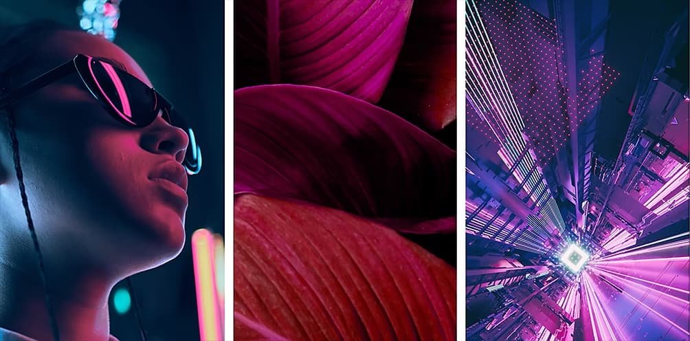 Bilder von Adobe Stock in violetten Farbtönen